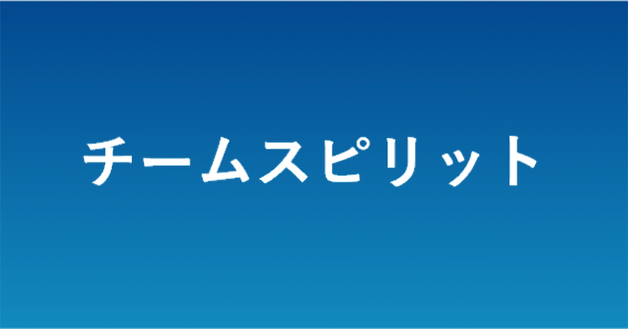 チームスピリット